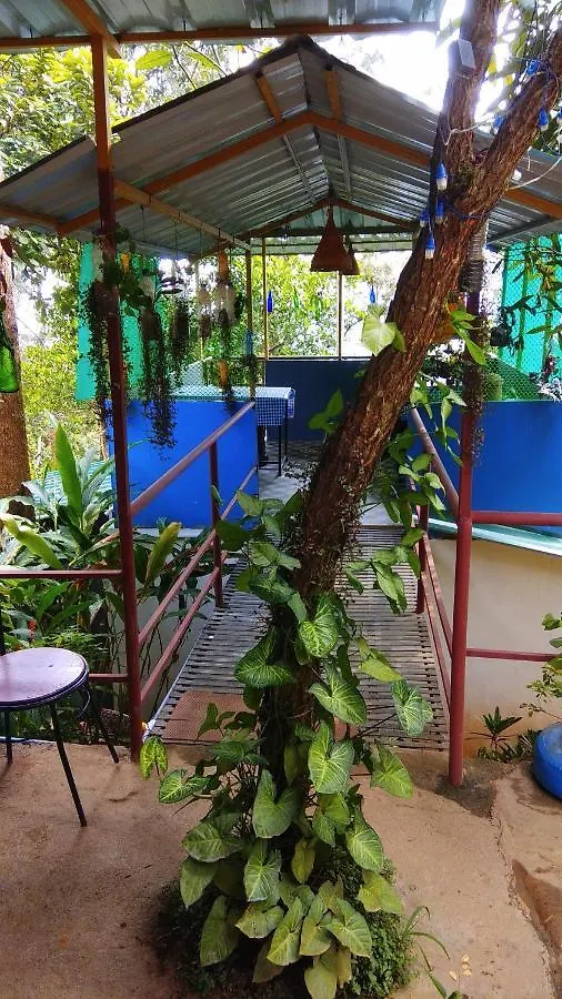Tea Drops Plantation Villa Munnar Bed & Breakfast