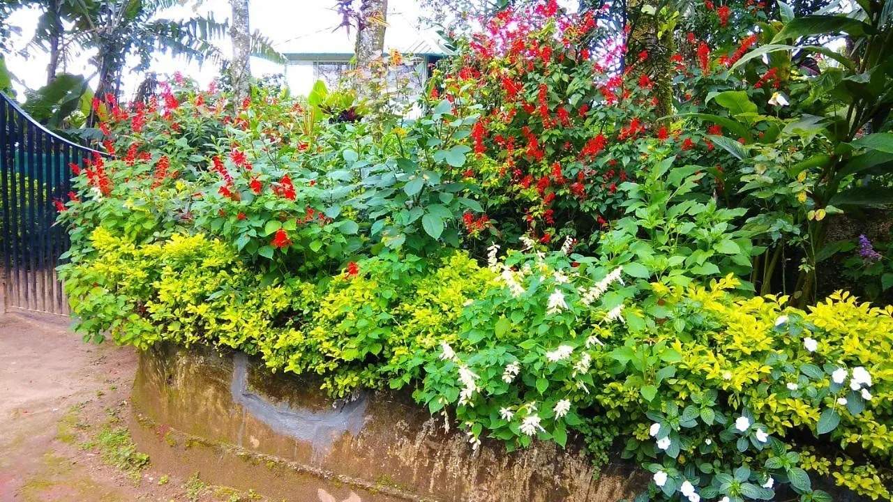Bed & Breakfast Tea Drops Plantation Villa Munnar Indie