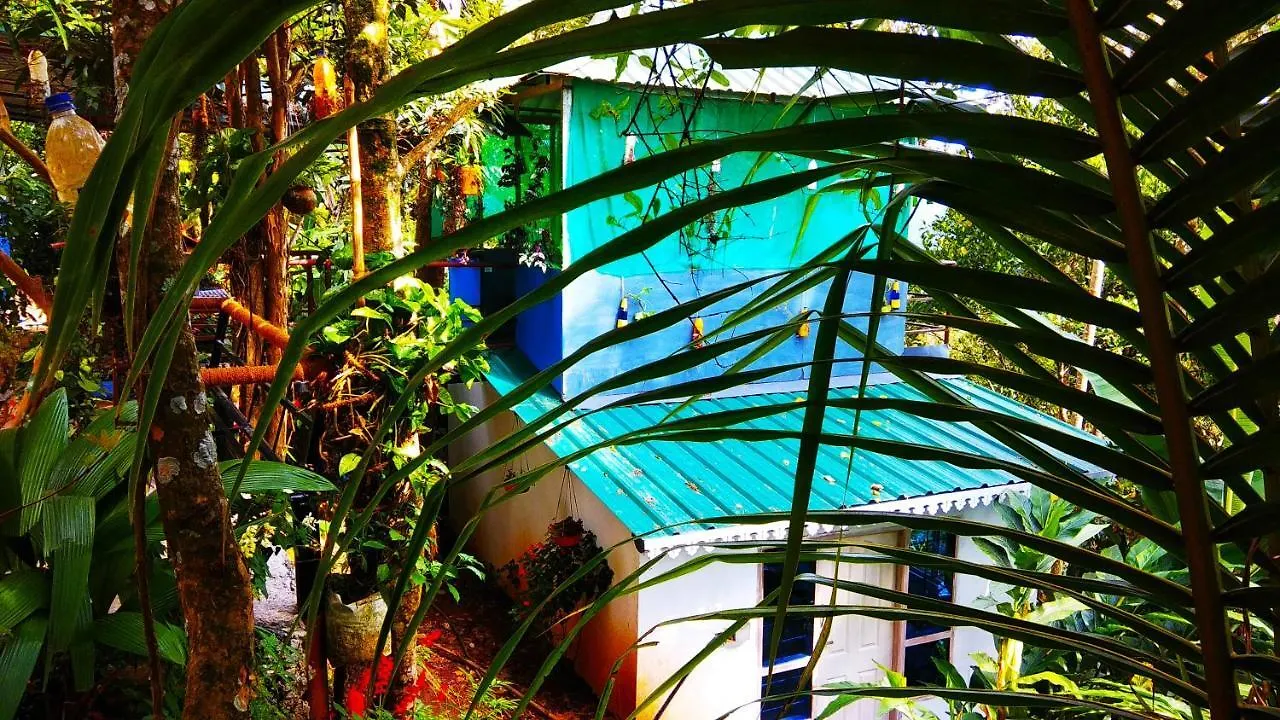 Bed & Breakfast Tea Drops Plantation Villa Munnar Indie
